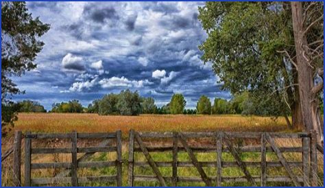 What is severance tax in oil and gas?